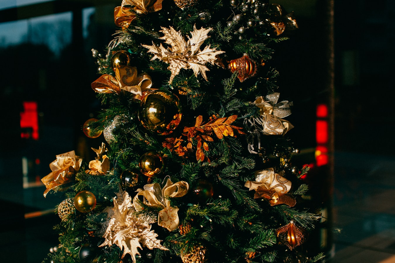 by lamagnotti on unsplash Sapin de Noël